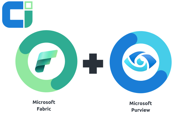 Fabric Integration with Purview